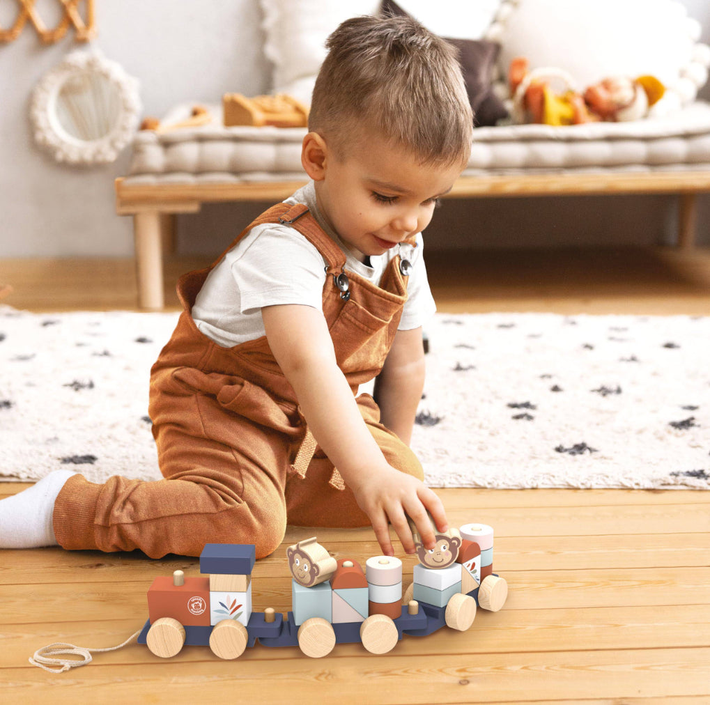 Stacking Train-Speedy Monkey