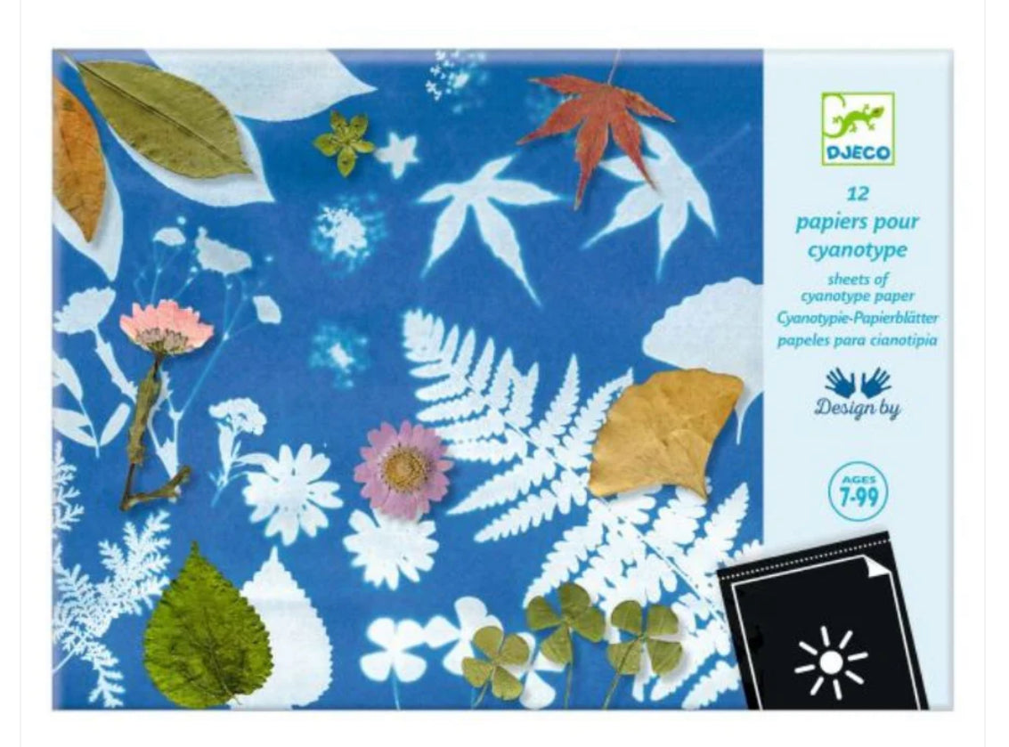 Cyanotype Kids Art Djeco
