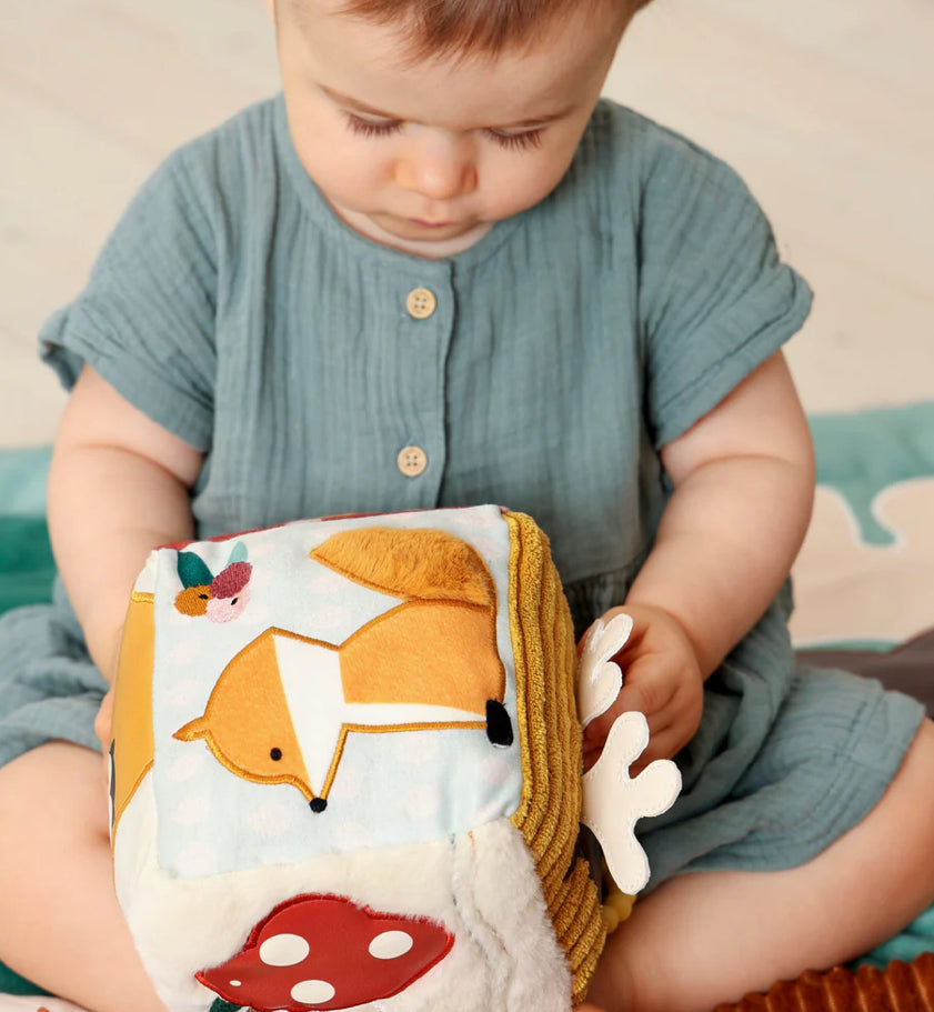 Activity Cube-Little Big Friends