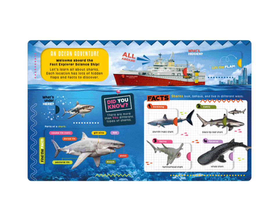 Fact Explorer Shark Book-Make Believe Ideas
