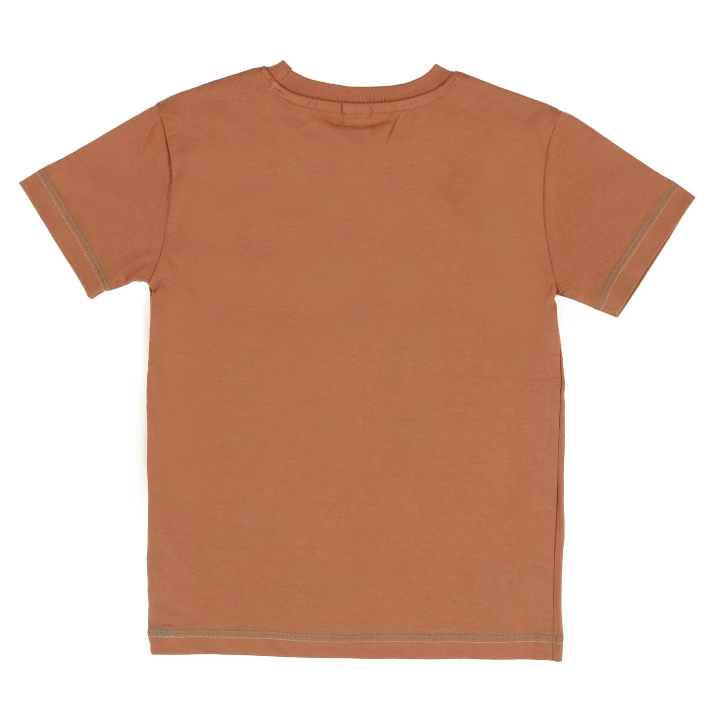 Brown Skate Board Tishirt Nano