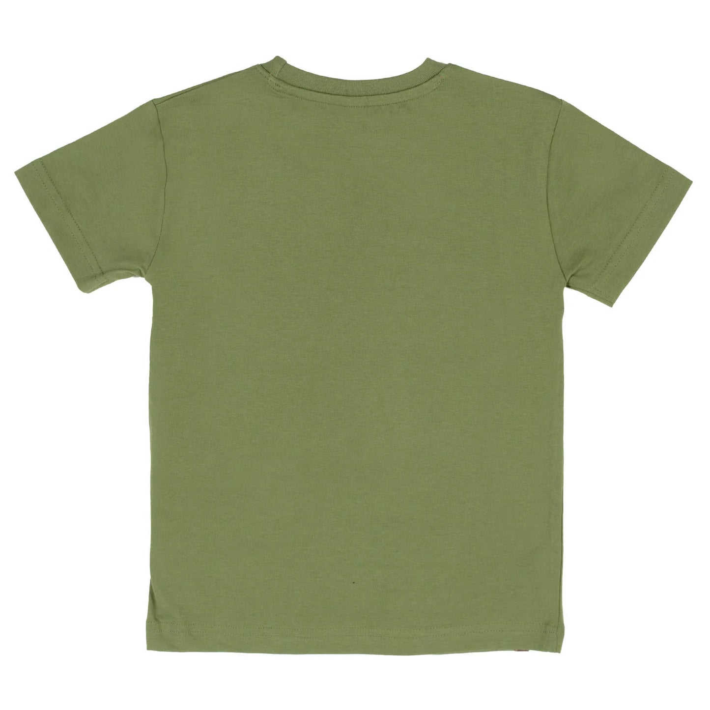 Green Rockies Tishirt Nano