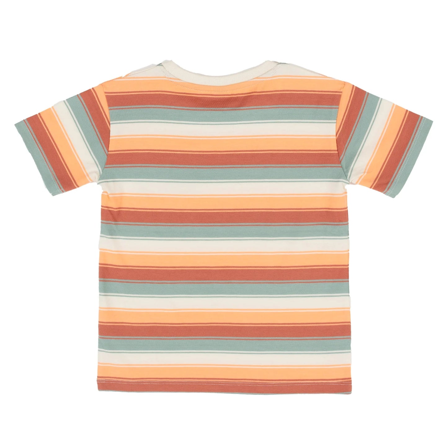 Sage and Terra Striped Tishirt Nano