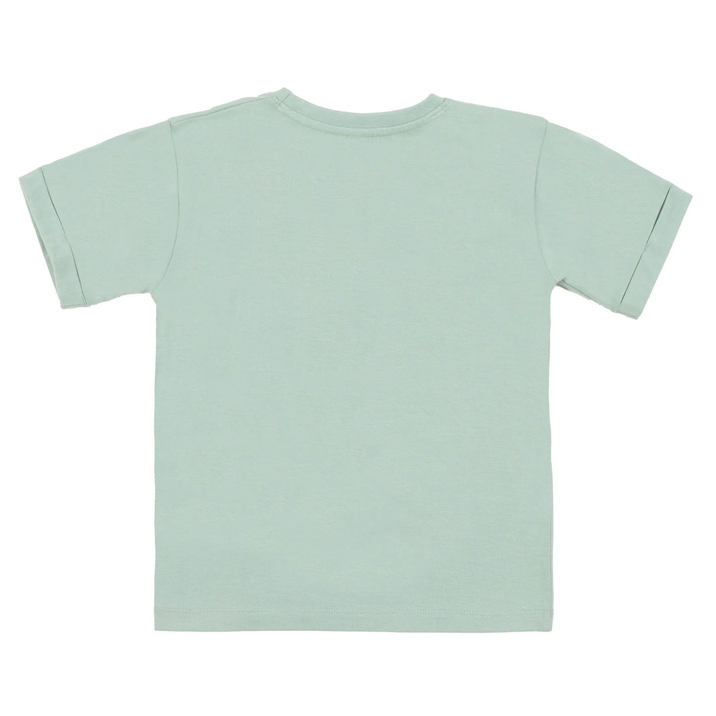 Sage Green Surf Beach Tishirt Nano