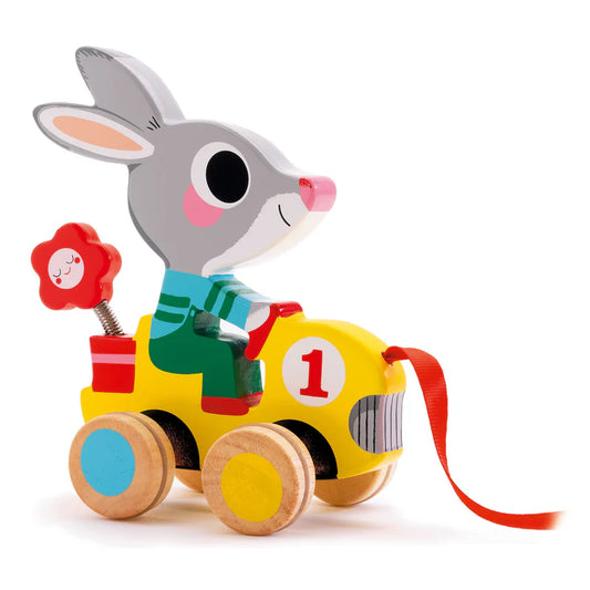 Pull Along Toy- Roulapic-Djeco
