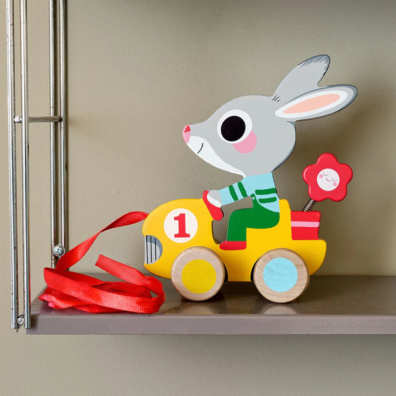 Pull Along Toy- Roulapic-Djeco