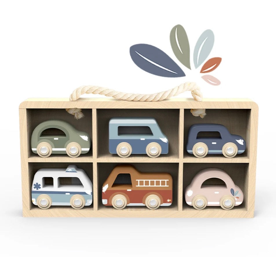 Train Set Display Case