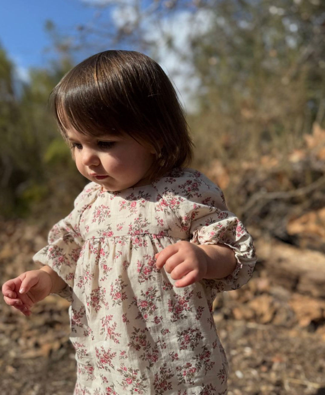 Caroline Dress-Vignette