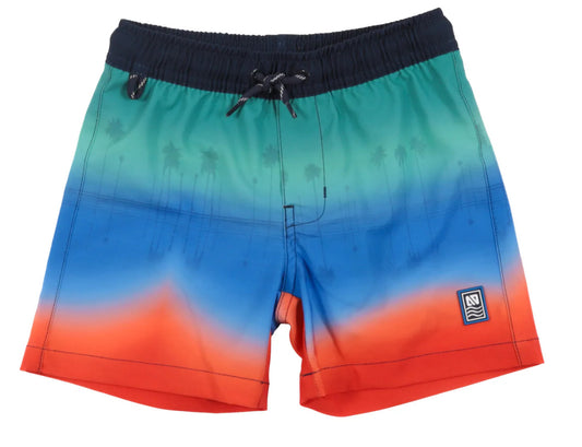 Blue Board Shorts -Nano