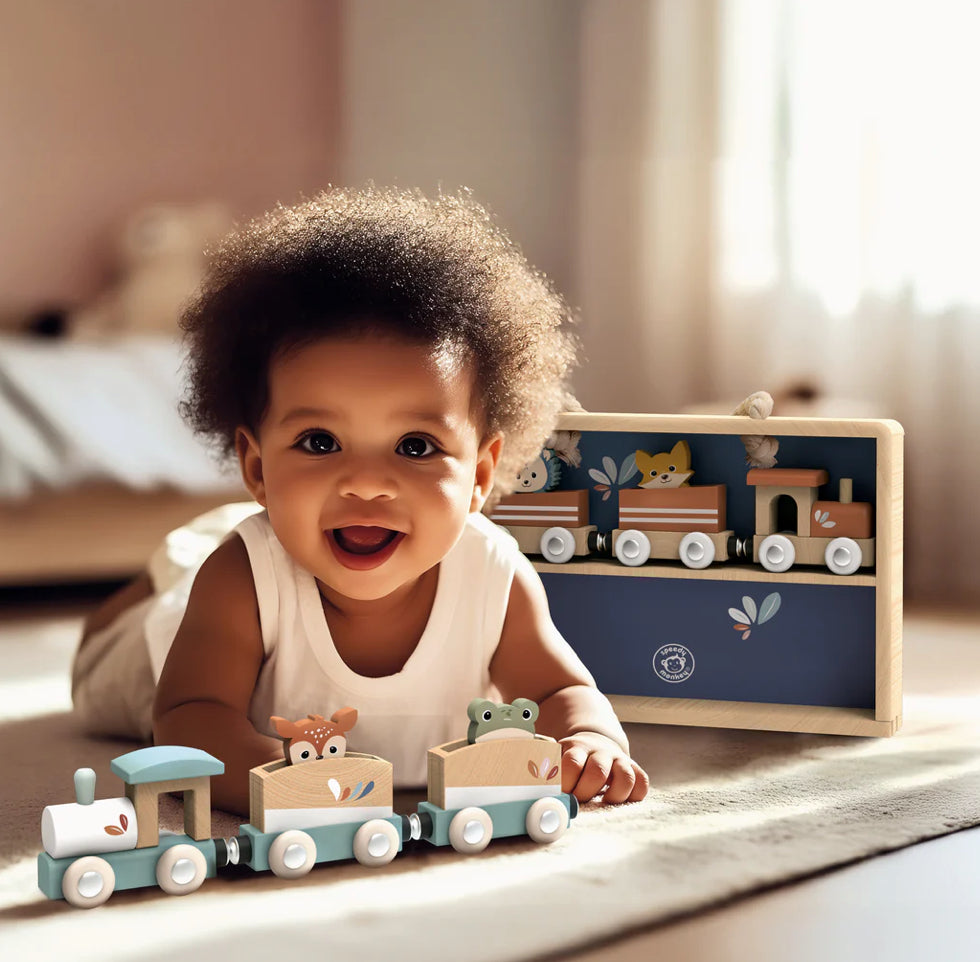 Train Set Display Case