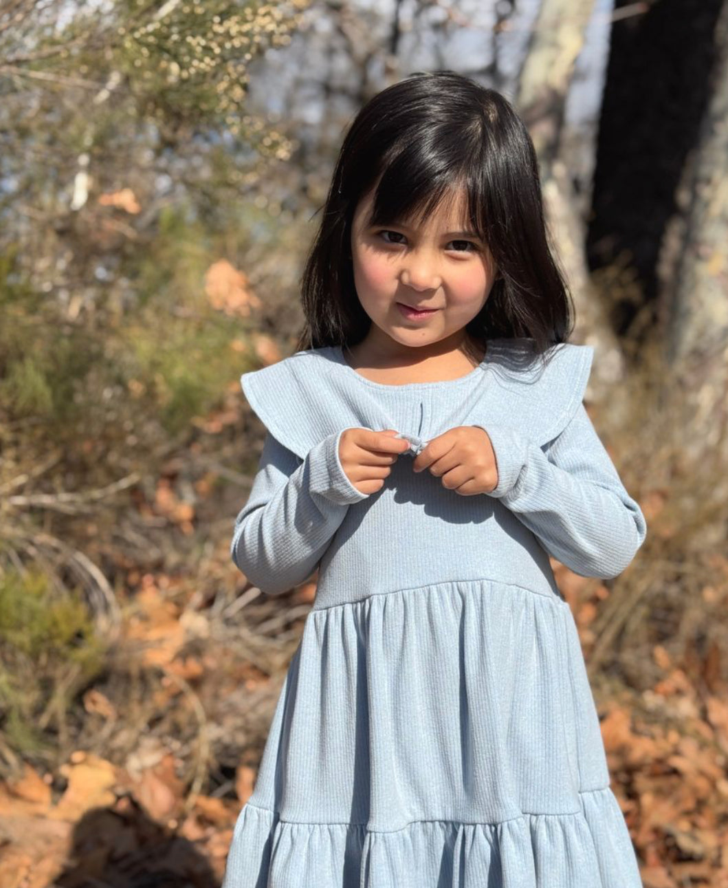 Blue Jenny Dress-Vignette Girls