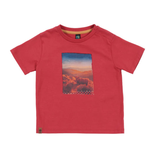 Highland Cow Field Baby Boy T Shirt-Nano