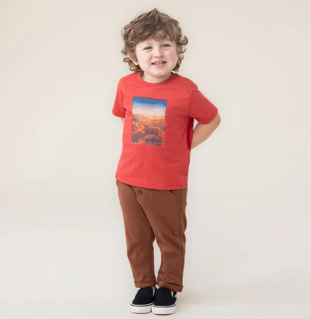 Highland Cow Field Baby Boy T Shirt-Nano