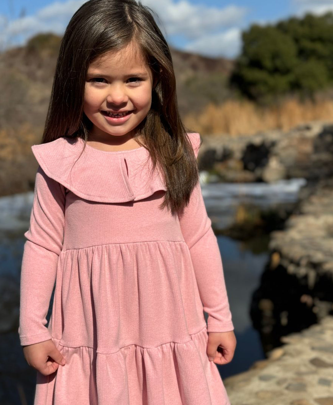 Rose Jenny Dress-Vignette Girls