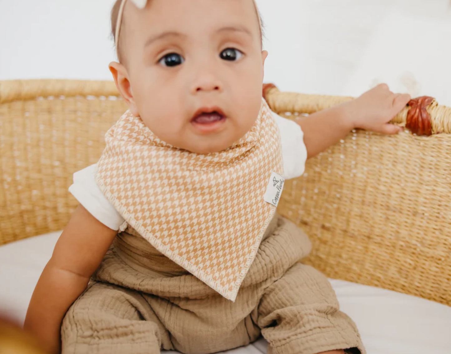 Eden Bibs 4 Pack-Copper Pearl