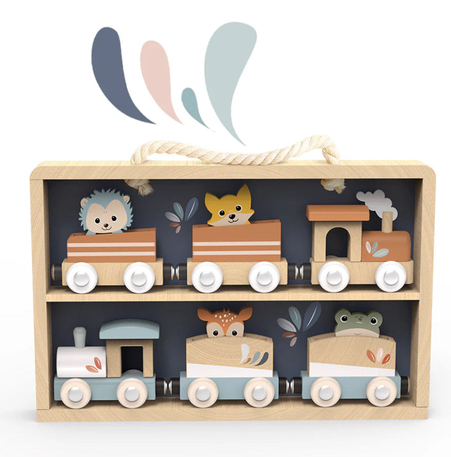 Train Set Display Case