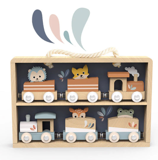 Train Set Display Case