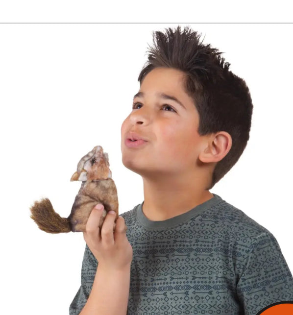 Animal Finger Puppets-Folkmans Puppets 40 Options
