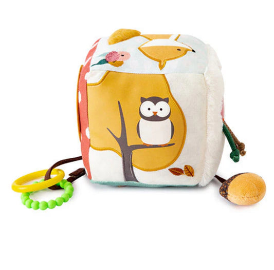 Activity Cube-Little Big Friends