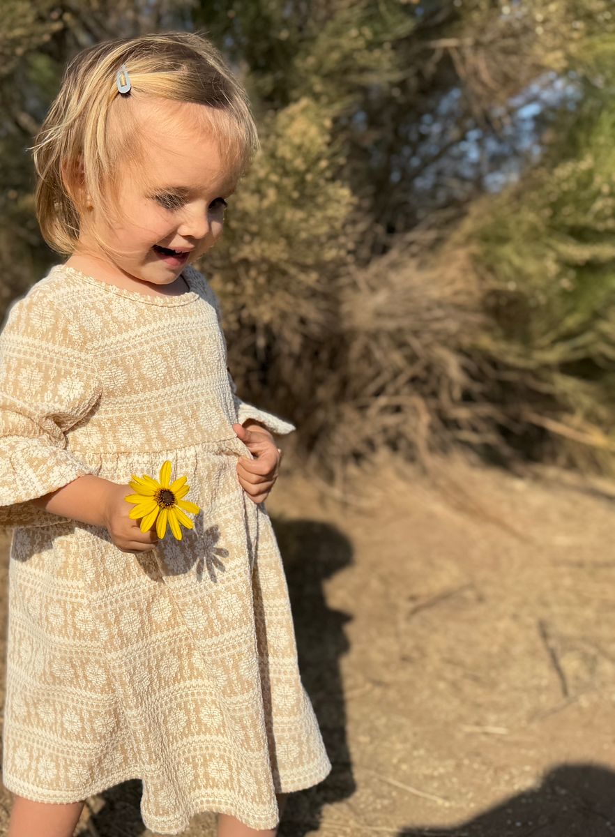 Paige Dress-Vignette Girls