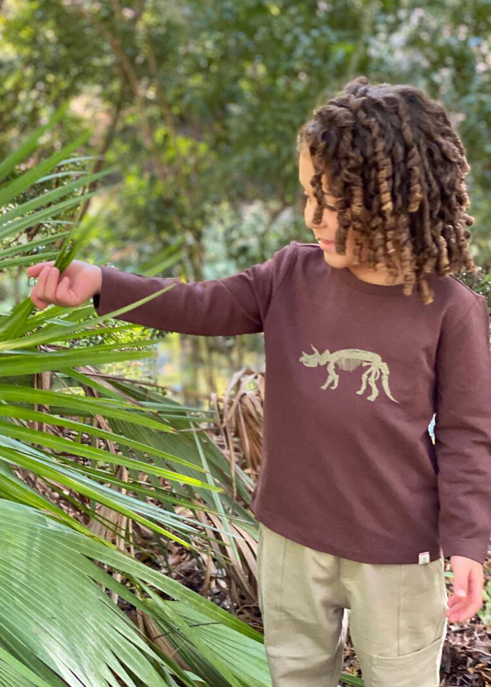 Dino Cherokee Raglan Long Sleeve Shirt-Me And Henry