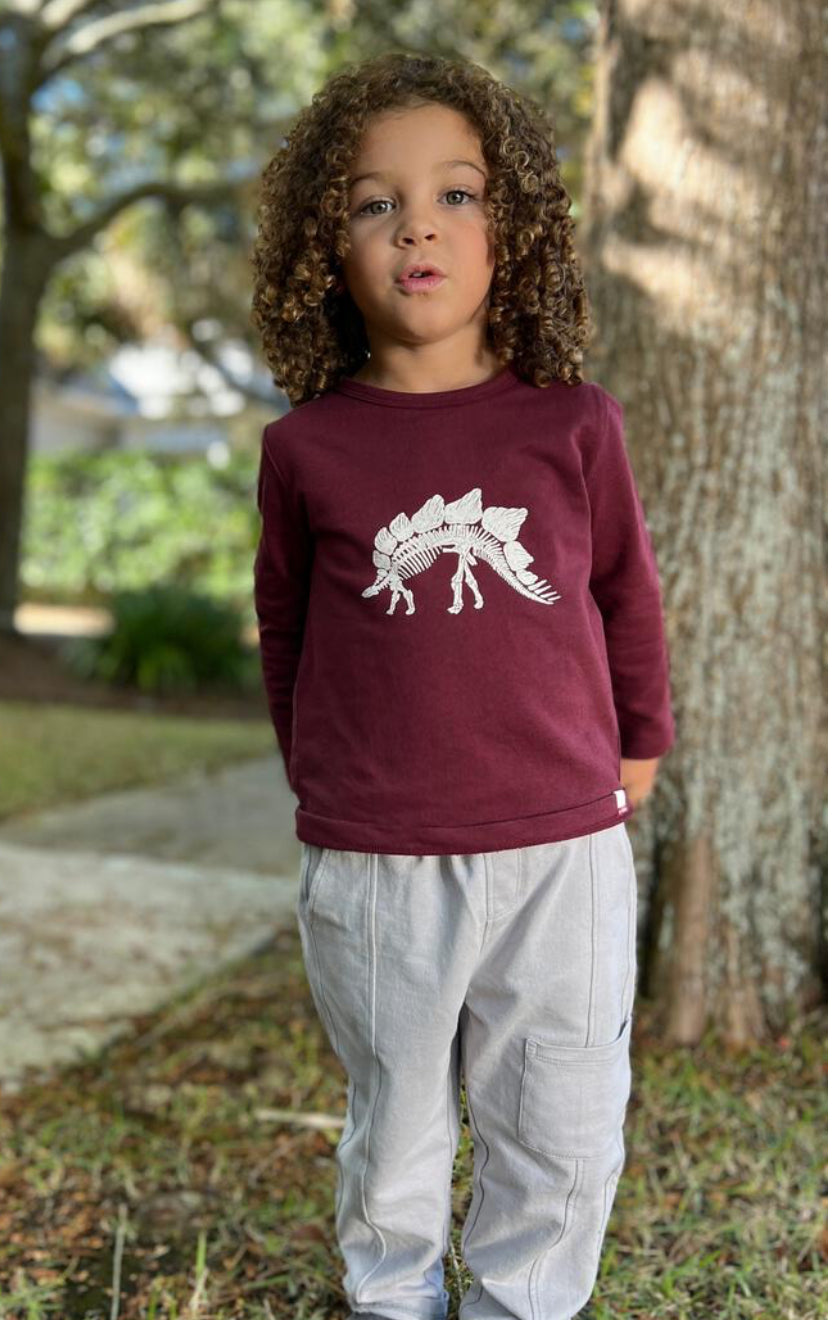 Dino Cherokee Raglan Long Sleeve Shirt-Me And Henry