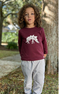 Cherokee Raglan Tee Dino- Me & Henry