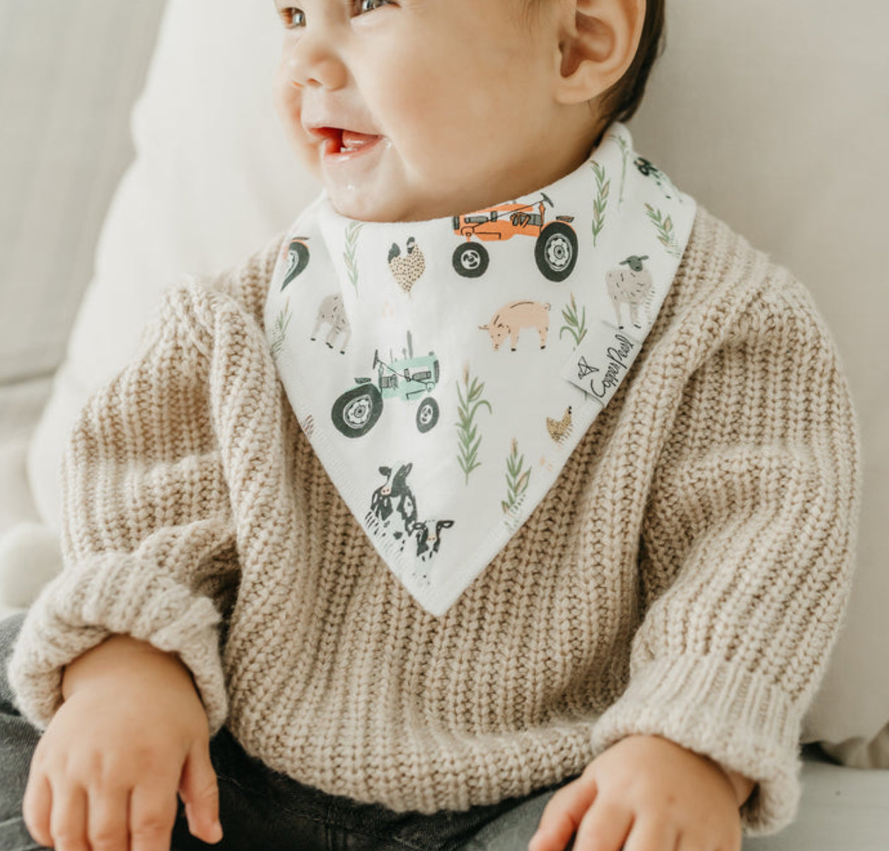 Baby Boy/Gender Neutral Bandana Bibs -Copper Pearl